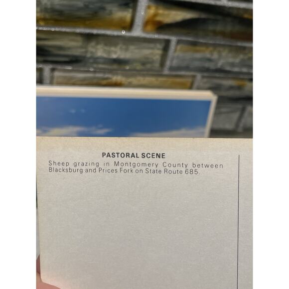 Vintage Postcard Lot Montgomery County Courthouse & Blacksburg Pasture Virginia - Picture 5 of 5